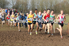 Senior men, 2020 British Athletics Inter Counties Cross Country Champs., Prestwold Hall, Loughborough. Photo: David T. Hewitson/Sports for All Pics
